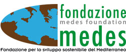 Fondazione MEDES 